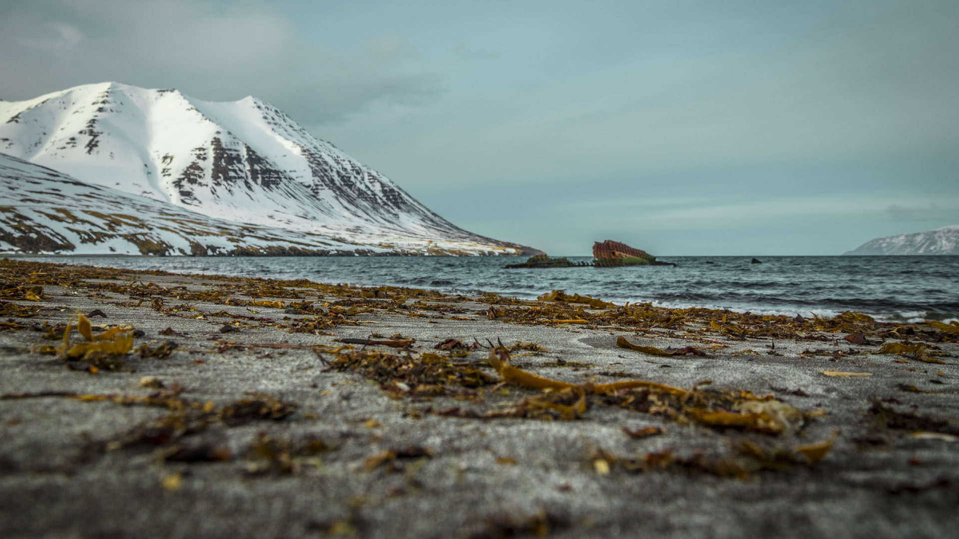 Strand In Oelafsfjordur Mit Blick Auf Die Skitouren Gipfel